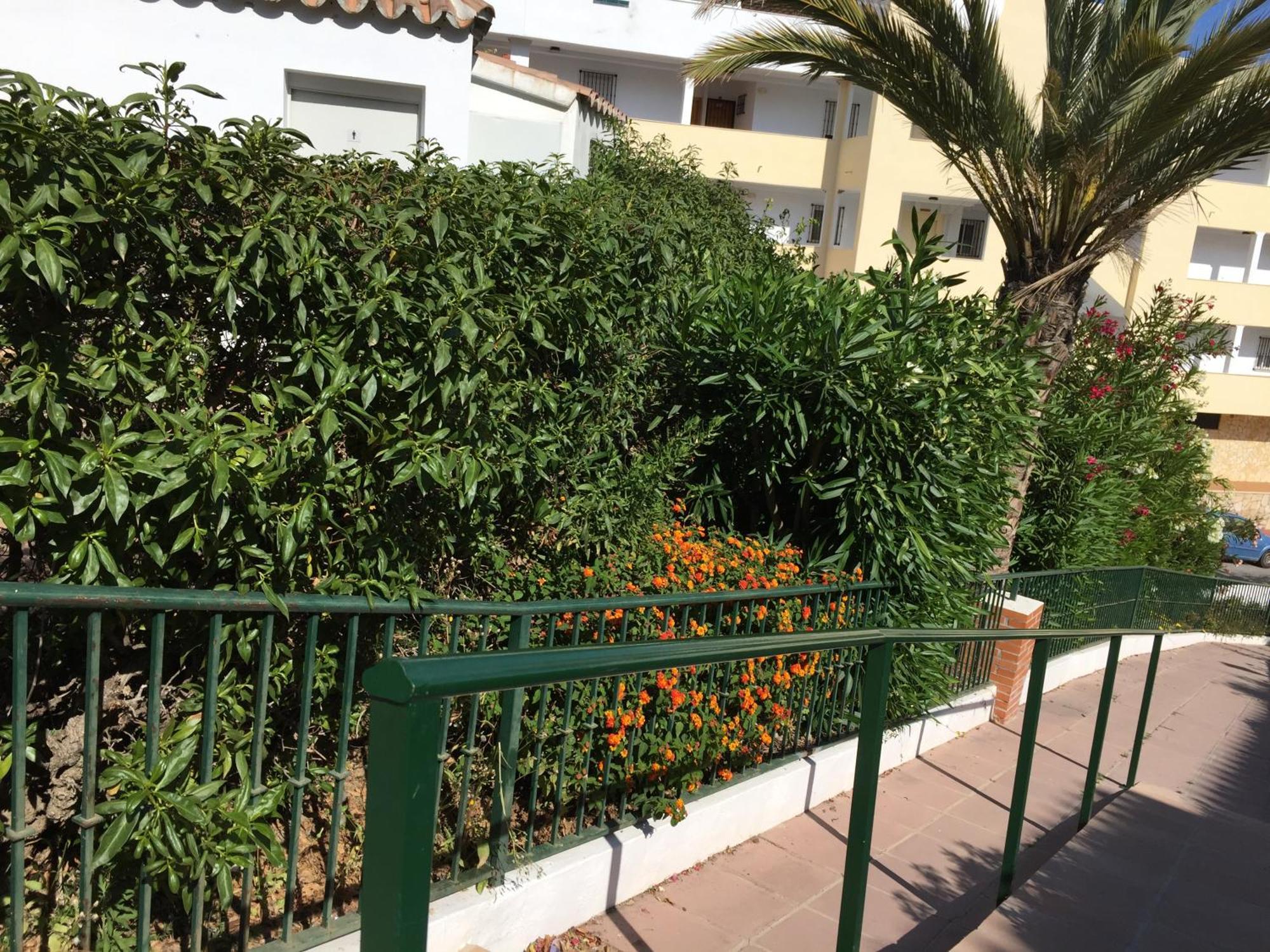 Stella Blanca 24B Apartment Fuengirola Exterior photo